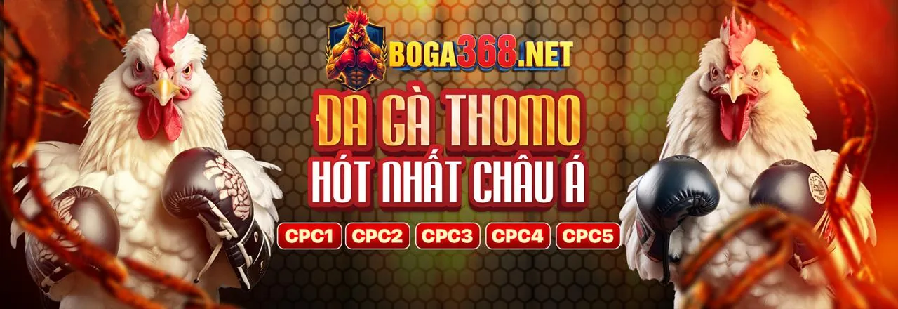 Tham gia K8vina Login ngay