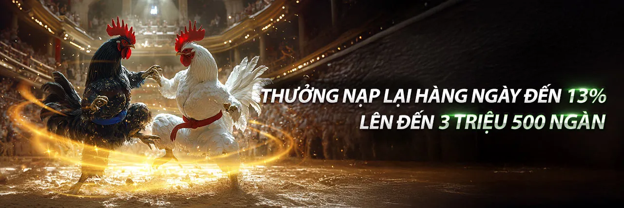 Đá Gà kịch tính tại K8vina với không khí sôi động và logo thương hiệu, màu xanh lá cây và vàng rực rỡ.